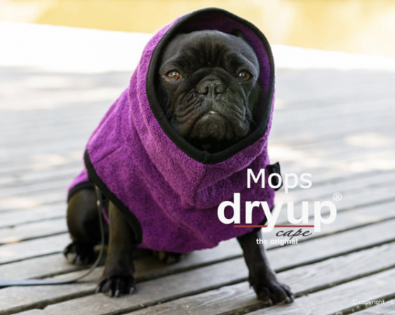 Dry-up Cape Frenchie & Co in the group The dog / Coats/Vests/Protection and more / Dry-up Cape at PAW of Sweden AB (Dryup Pug)